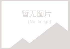 奈曼旗夏岚能源有限公司